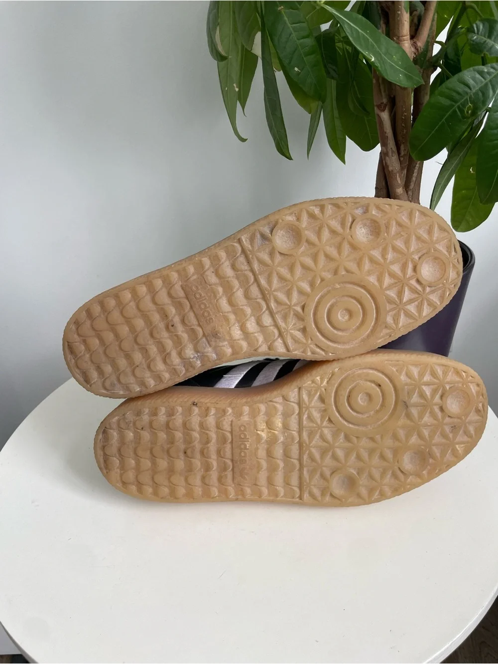 adidas women size